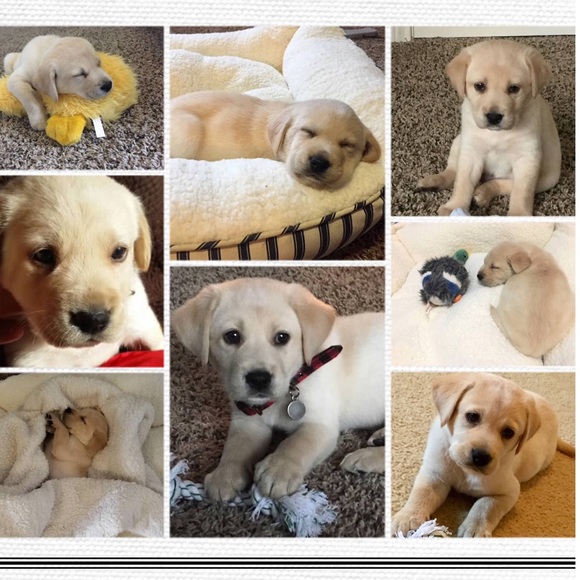 Meet your Posher, Kelly - Picture 1 of 1